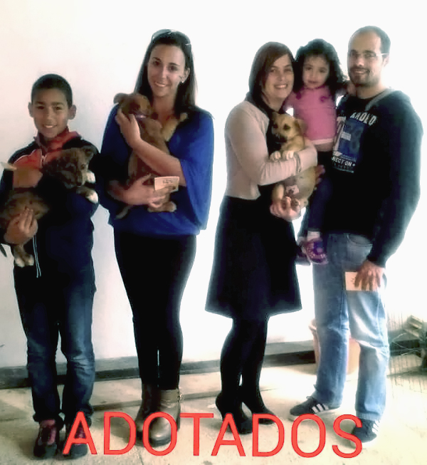 adoptados
