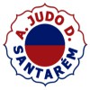 Região | Judoca da Académica de Rio Maior é Campeão Nacional