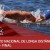 Longa Distância: final nada-se nas Piscinas de Rio Maior