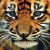 29 de julho é Dia Internacional do Tigre