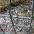 Região | SerMaior já coligiu 21 ideias para o concelho de Rio Maior